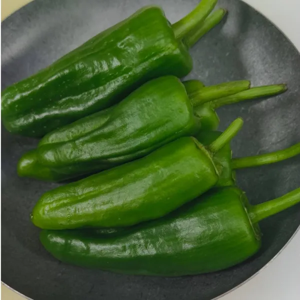 pimiento  padron