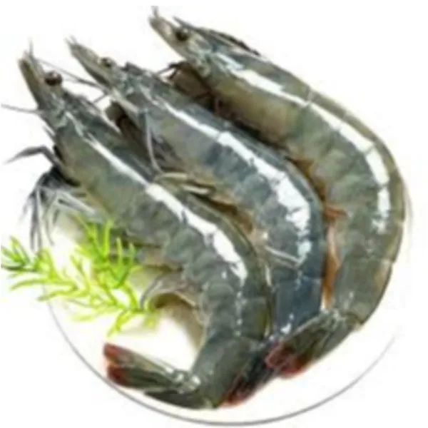 LANGOSTINO 3UD