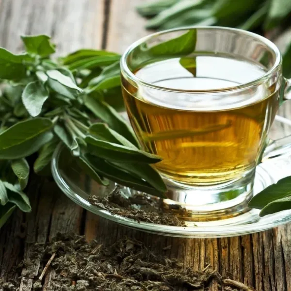 Té verde